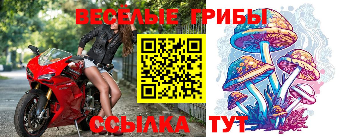 Галлюциногенные грибы Magic Shrooms  Вход с VPN  Галлюциногенные грибы Psilocybe  Батайск 