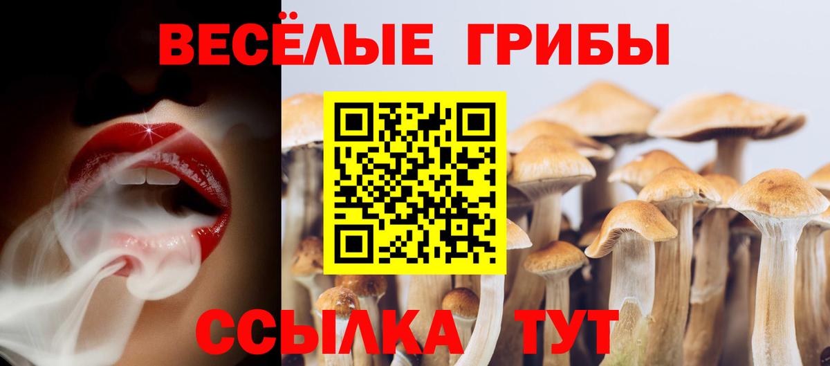 Галлюциногенные грибы Magic Shrooms Батайск
